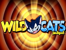 Wild Cats multiplayer gokkast