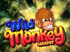 Wild Monkey multiplayer gokkast